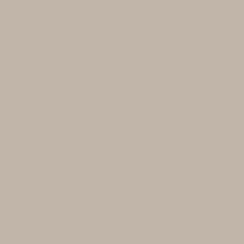 Ash Gray DEC 751
