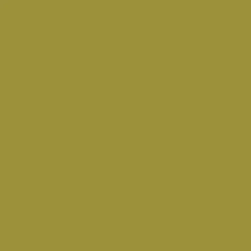 Gecko DE 5482